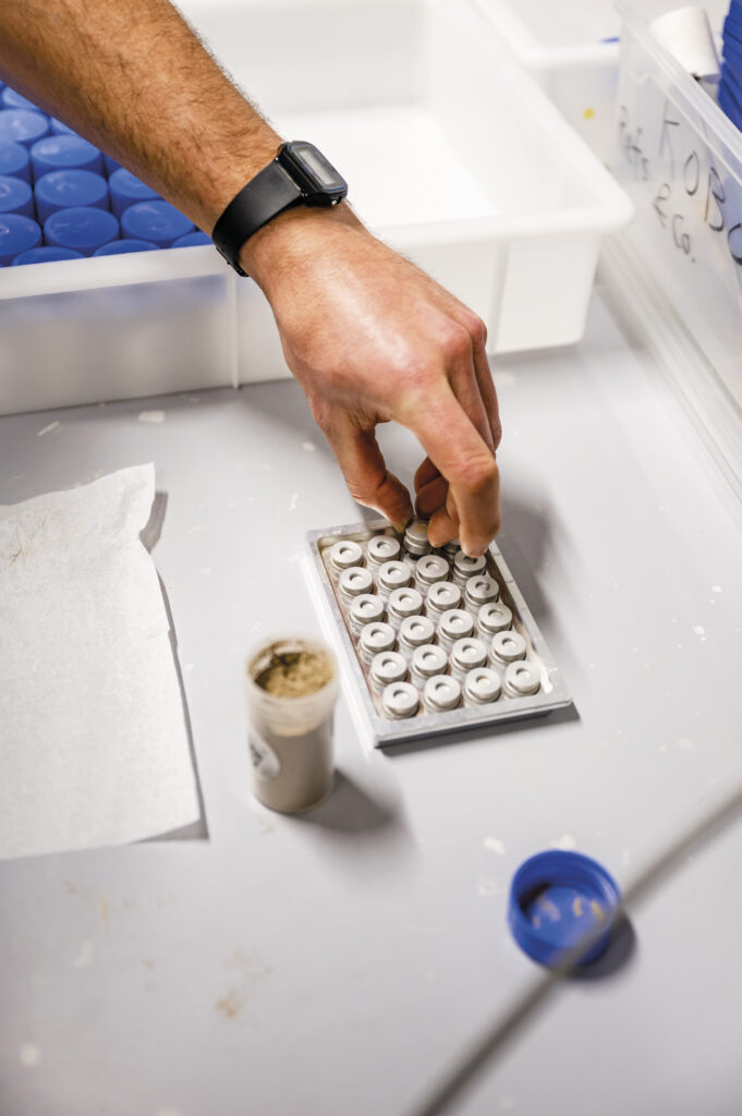 Ein Mitarbeiter füllt gemahlene Bodenproben in Testbehälter für eine Infrarotmessung