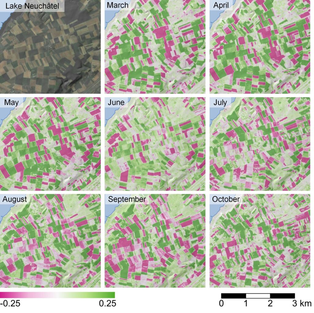 Die Rasterkarten mit monatlichen NDVI-Anomalien beispielhaft für das Jahr 2021 am Südufer des Neuenburger Sees.