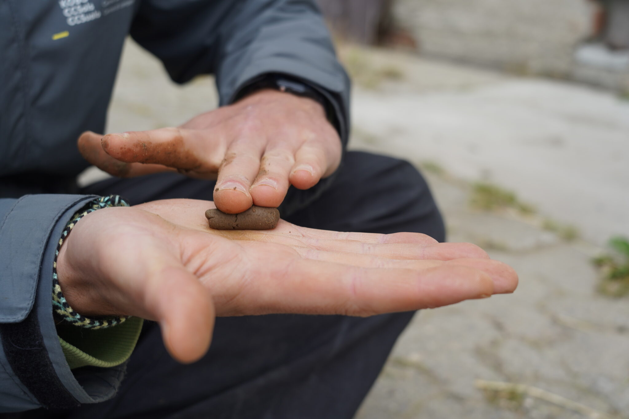 Évaluation du sol: description pédologique et classification - Centre ...