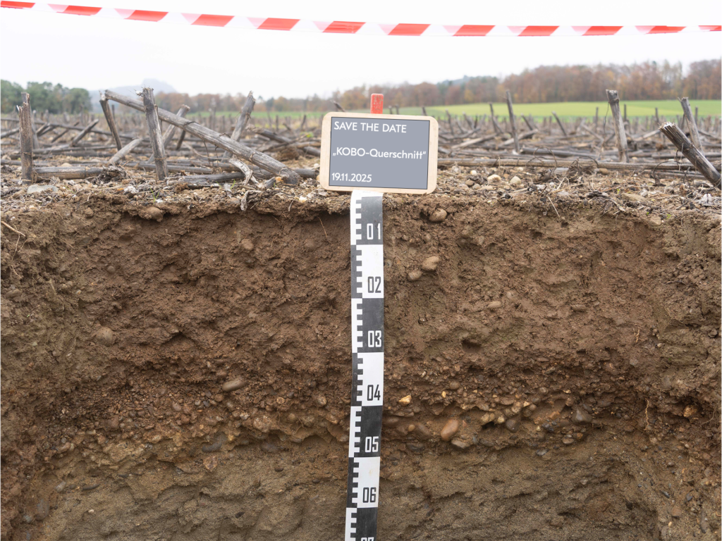 Save the date: Am 19. November 2025 findet der nächste «KOBO-Querschnitt» statt