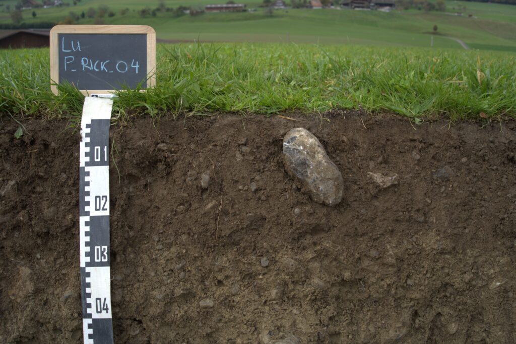 Bodenprofil in Rickenbach (Bodentyp Regosol)