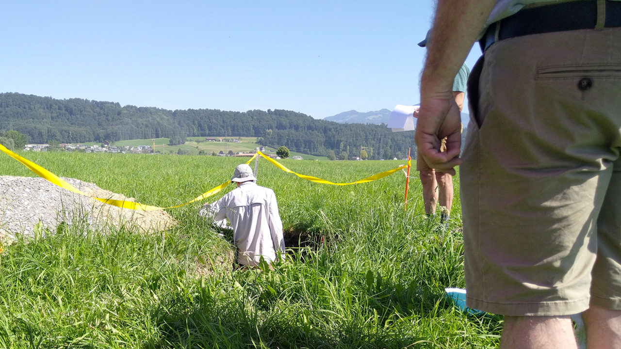Auf dem Bild sind verschiedenen Personen von hinten zu sehen, die ein Bodenprofil untersuchen